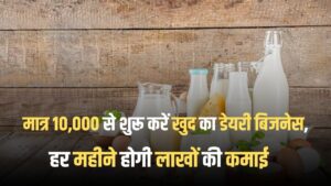 Dairy farming business plan in Hindi