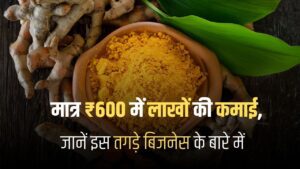 Turmeric Farming Business in Hindi
